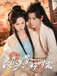 良辰美景好时宜海报