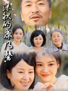 深秋的康乃馨海报