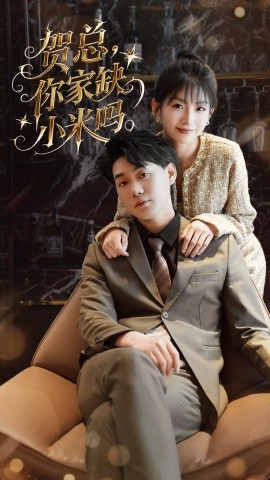 贺总你家缺小米吗海报