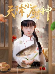 天降小厨神海报