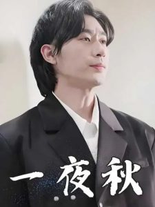 一夜秋海报