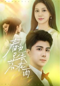 春色已去落花雨海报