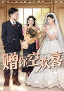 赠你空欢喜海报