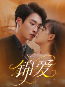 锦爱海报