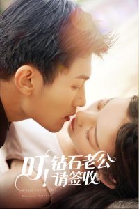 叮！钻石老公请签收海报