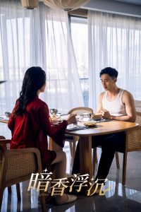 暗香浮沉海报