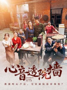 心音透院墙海报