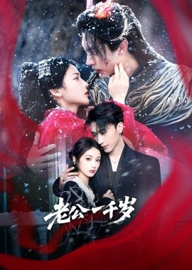 老公一千岁海报