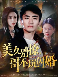 美女别撩，哥不玩闪婚海报