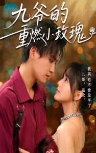 九爷的重燃小玫瑰海报