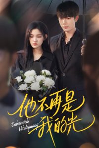 他不再是我的光海报