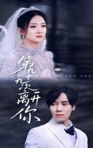 第九十九次离开你海报