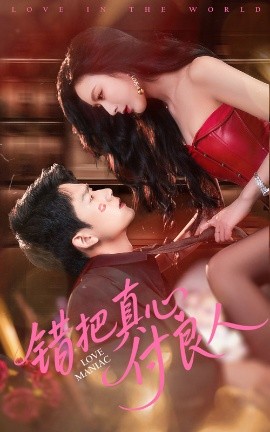 错把真心付良人海报