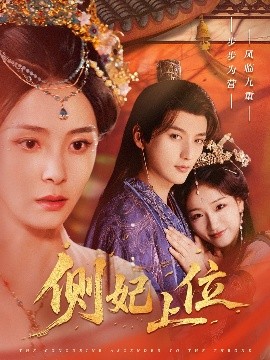 侧妃上位海报