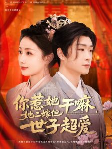 你惹她干嘛，她二嫁但世子超爱海报