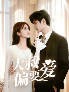 大叔偏要爱海报