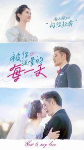 被你迷晕的每一天海报