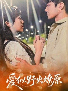 爱似野火燎原海报