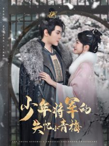 少年将军的失忆小青梅海报