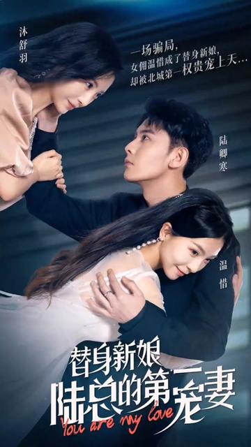 替嫁新娘陆总的第一宠妻海报