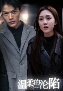 温柔的沦陷海报