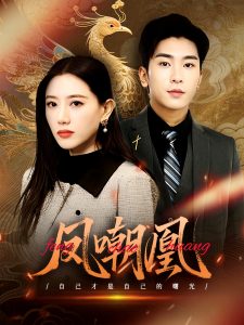 凤嘲凰海报