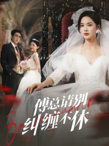 傅总请别纠缠不休海报