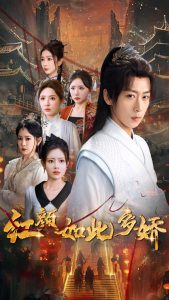 红颜如此多娇海报