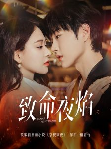 致命夜焰海报