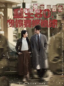 重生80，我偏要嫁纨绔海报