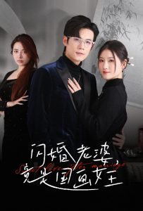 闪婚老婆竟是国画女王海报