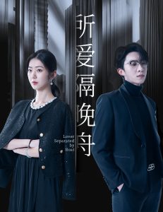 所爱隔晚舟海报