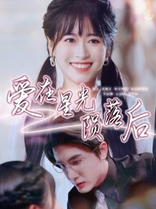 爱在星光陨落后海报