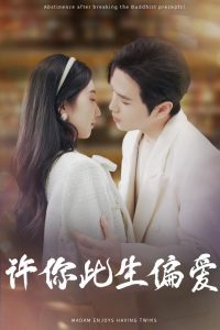 许你此生偏爱海报