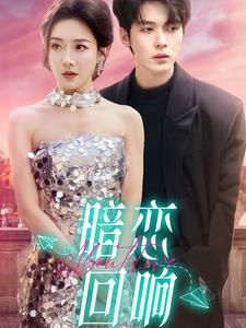 暗恋回响海报