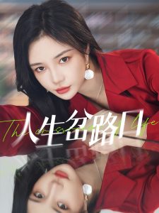 人生岔路口海报