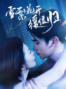 雪梨花开缓缓归海报