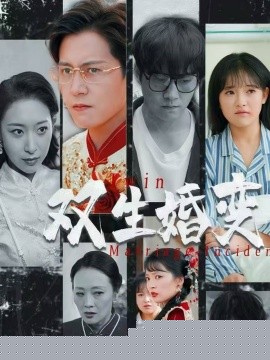 双生婚变海报