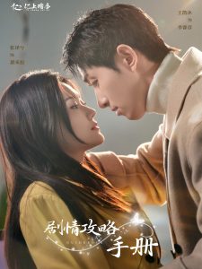 剧情攻略手册海报