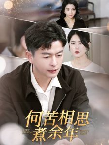 何苦相思煮余年海报