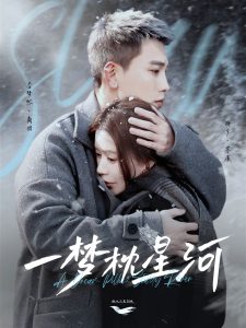 一梦枕星河海报