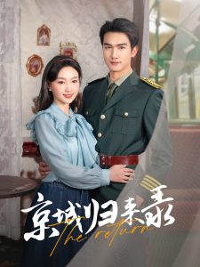 京城归来录海报