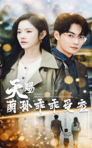 天赐萌孙乖乖受宠海报