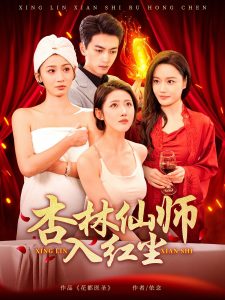 杏林仙师入红尘海报