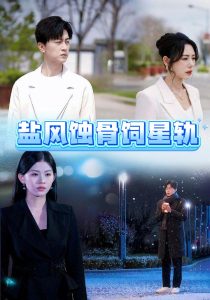 盐风蚀骨饲星轨海报