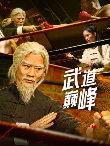 武道巅峰海报