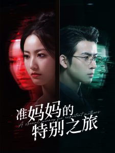 准妈妈的特别之旅海报