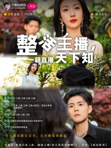 整活主播一朝直播天下知海报