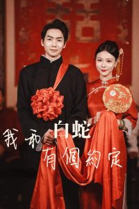 我和白蛇有个约定海报