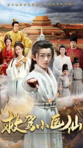 救驾小医仙海报